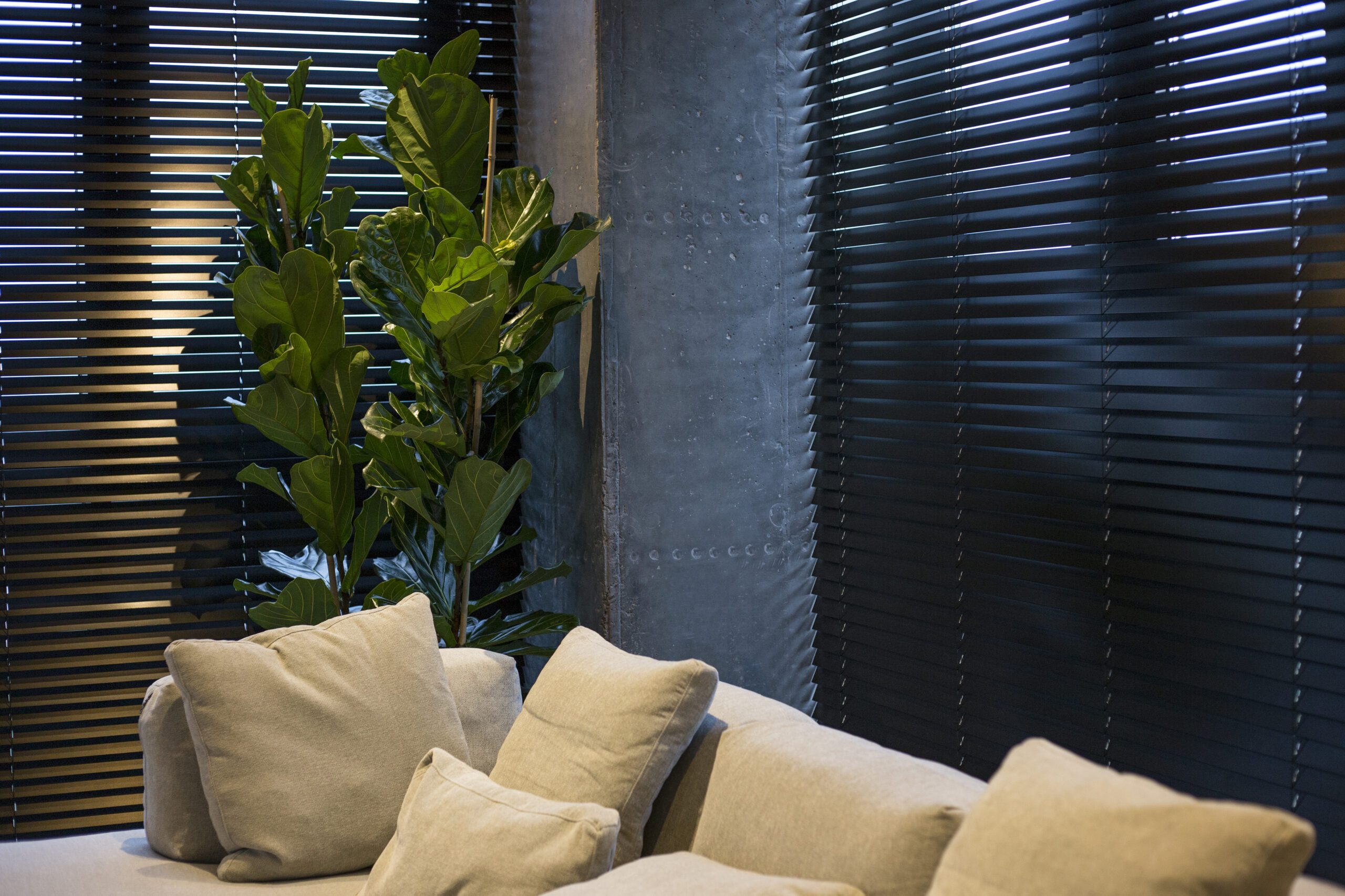 Wood blinds black colour automatic in the interior
