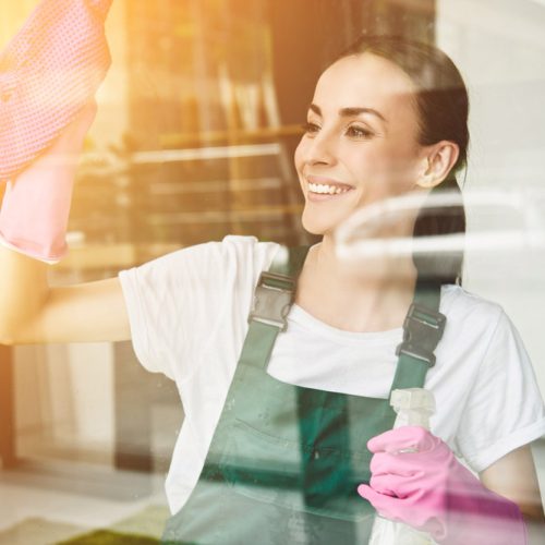 Keeping Your Windows Looking Clean